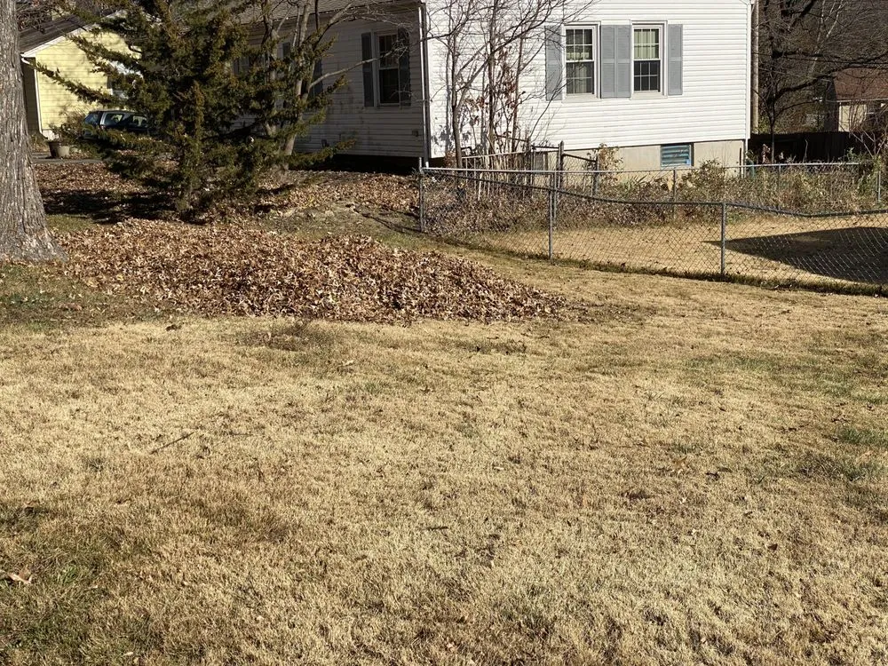 Reliable landscaping services for homes in Kansas City, MO by A-One Lawncare