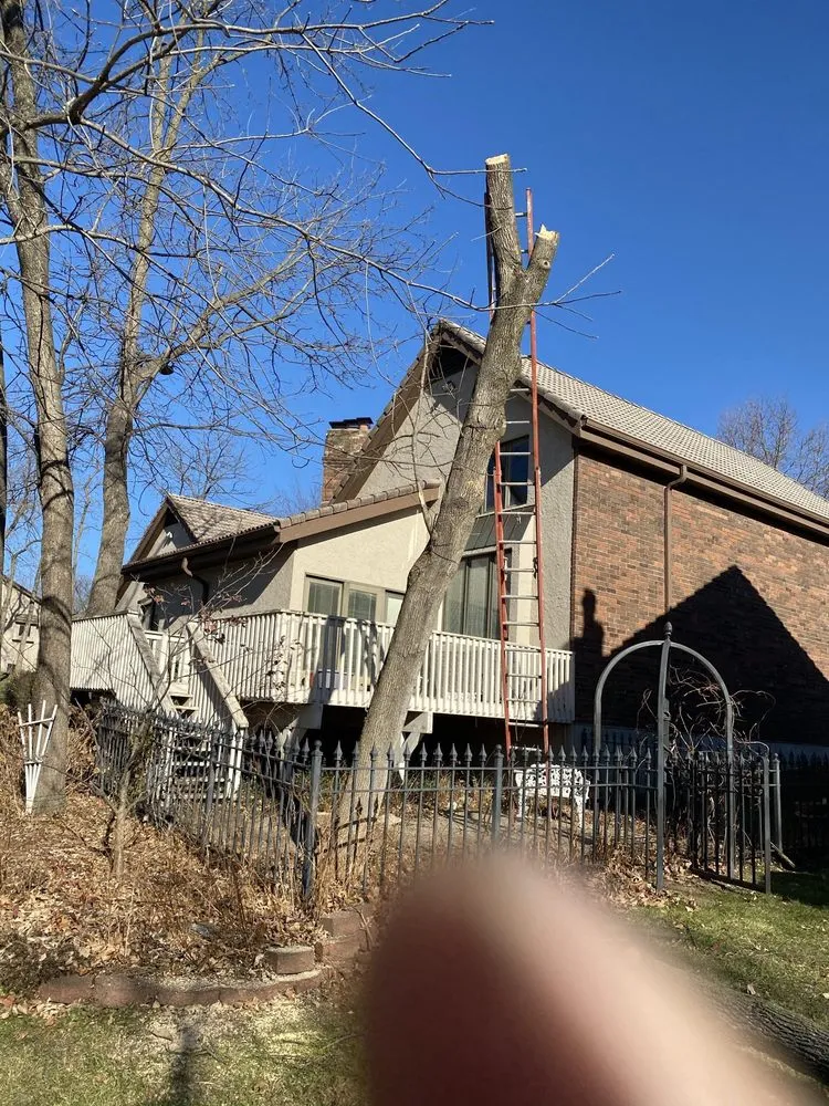 Top-rated yard maintenance with custom design in Kansas City, MO by A-One Lawncare