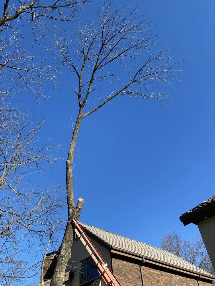 Custom outdoor landscaping in Kansas City, MO - A-One Lawncare