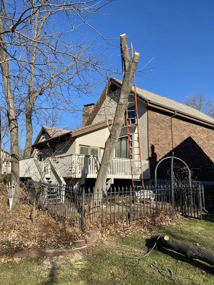 Reliable yard cleanup service for beautiful yards across Kansas City, MO - A-One Lawncare