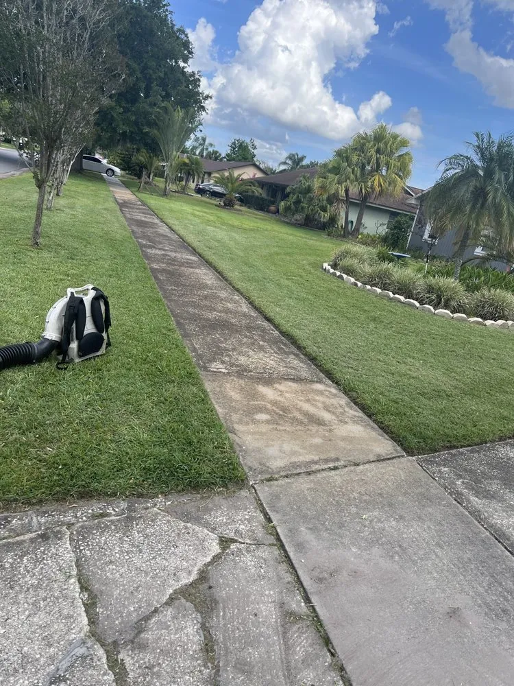 Expert yard cleanup service in Orlando, FL by A one lawncare
