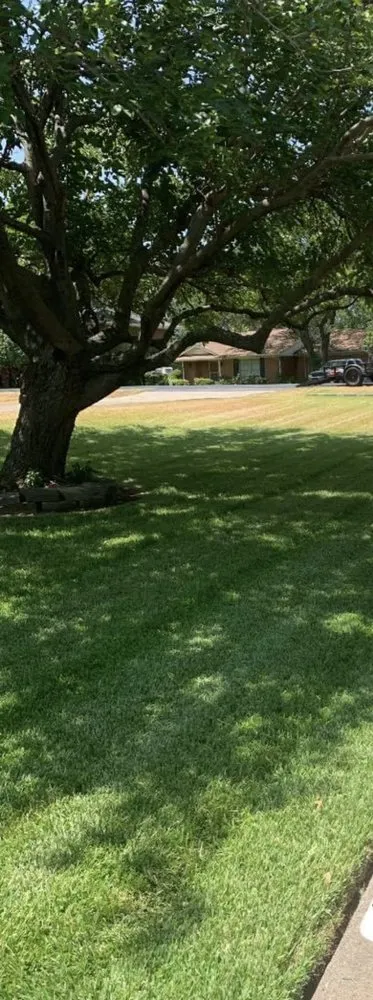 Reliable landscape installation for homes across Grand Prairie, TX - A One Property Management Services