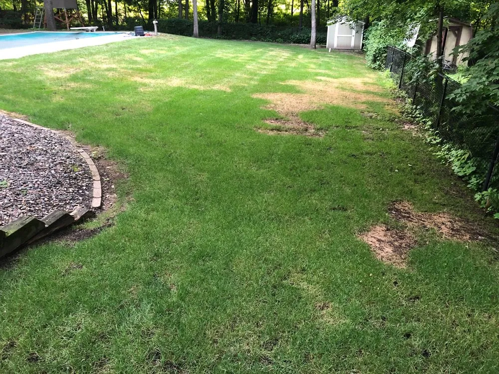 Affordable outdoor landscaping in Andover, MN - A+ Outdoor Services