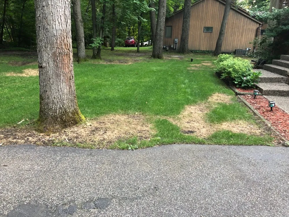 Trusted residential landscaping in Andover, MN - A+ Outdoor Services