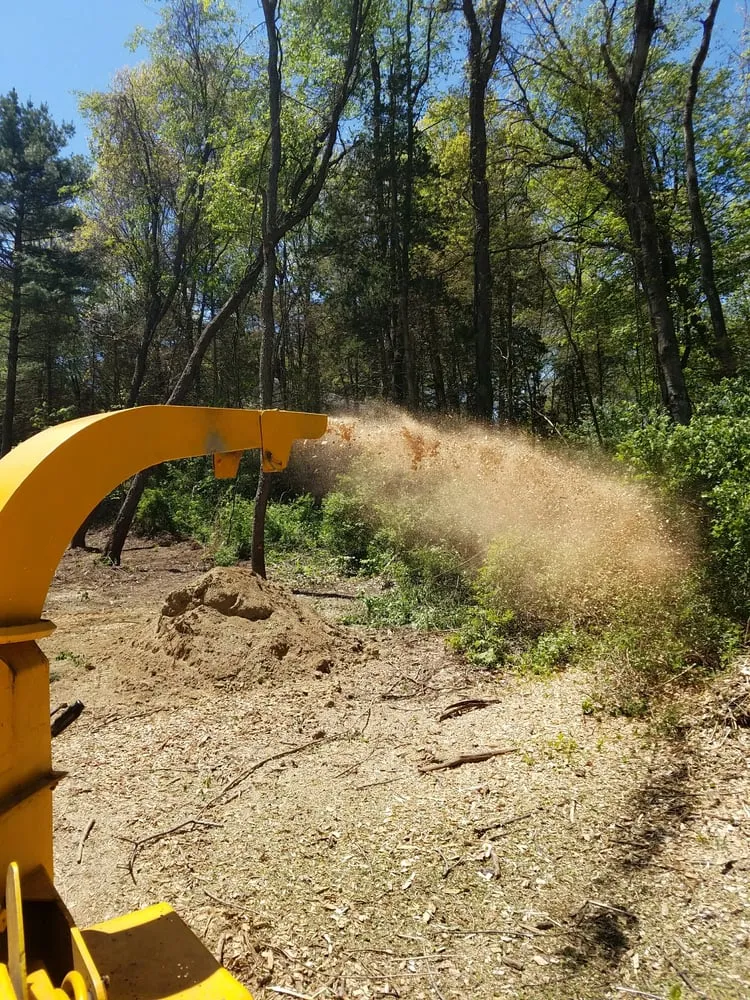 Expert lawn care service experts serving Tivoli, NY - A+ Outdoors Property Services