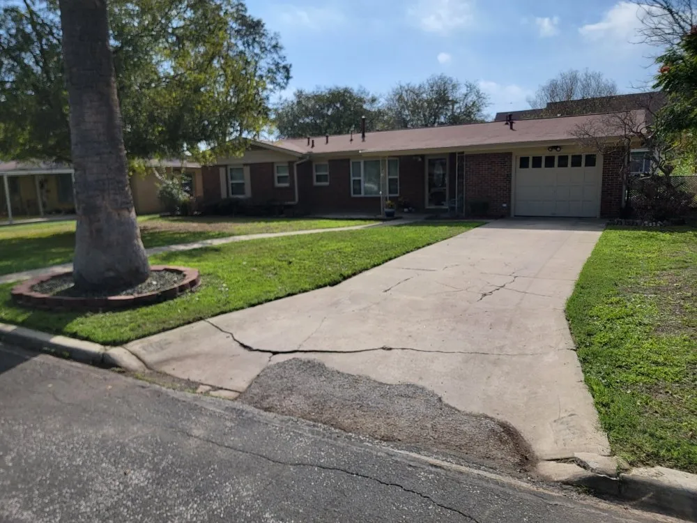 Trusted yard cleanup service for outdoor upgrades across San Antonio, TX - A P E Lawn Service