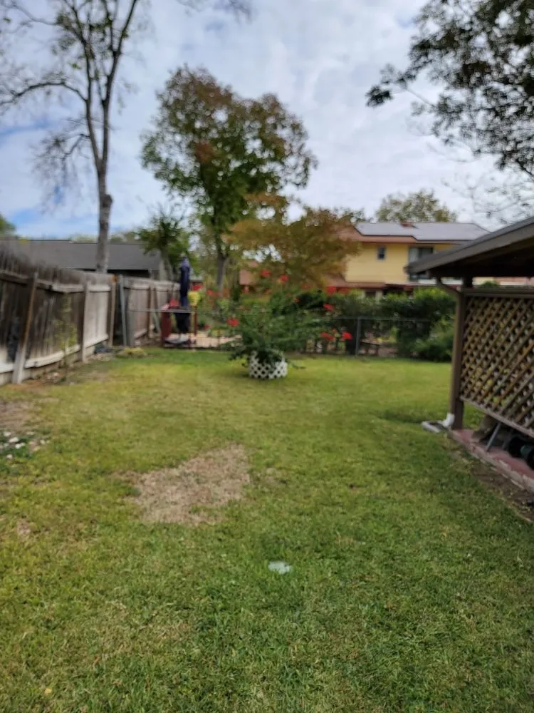 Expert garden landscaping in San Antonio, TX - A P E Lawn Service