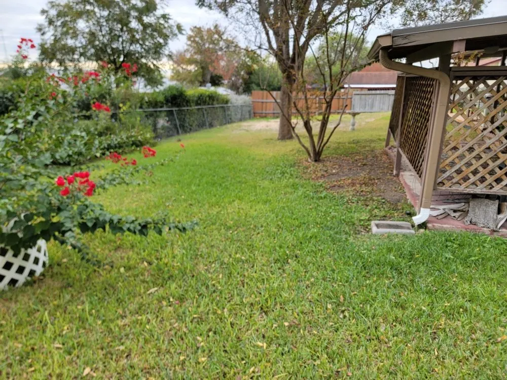 Expert outdoor landscaping experts serving San Antonio, TX - A P E Lawn Service