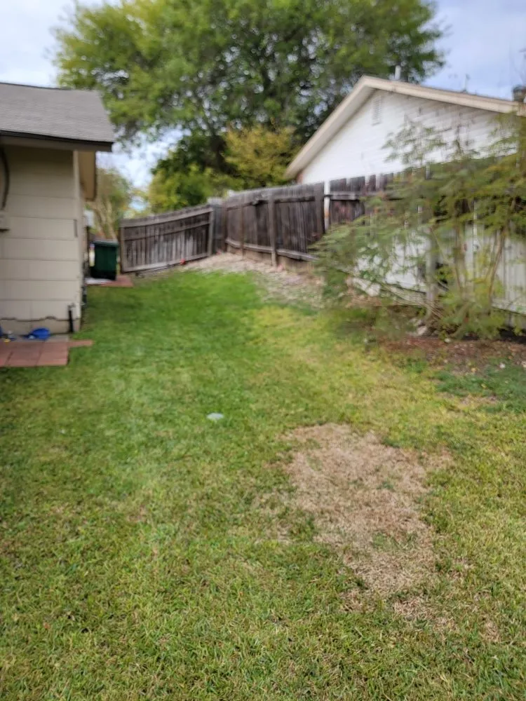 Custom lawn care service in San Antonio, TX - A P E Lawn Service