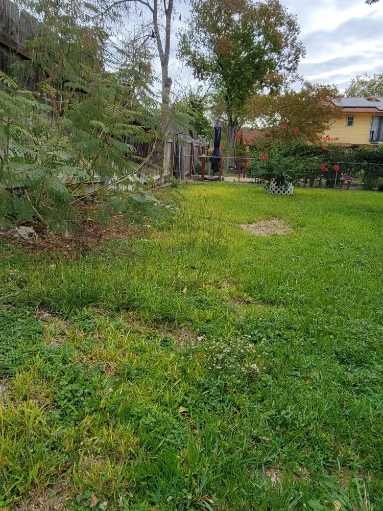 Expert residential landscaping for residential properties in San Antonio, TX by A P E Lawn Service