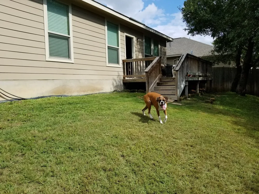 Professional landscape design in San Antonio, TX - A P E Lawn Service