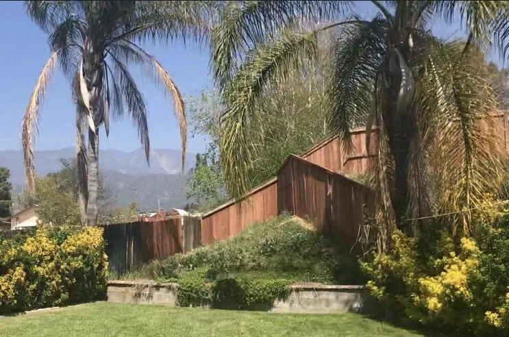 Professional lawn care service experts serving Colton, CA - A P L Professional Landscapes