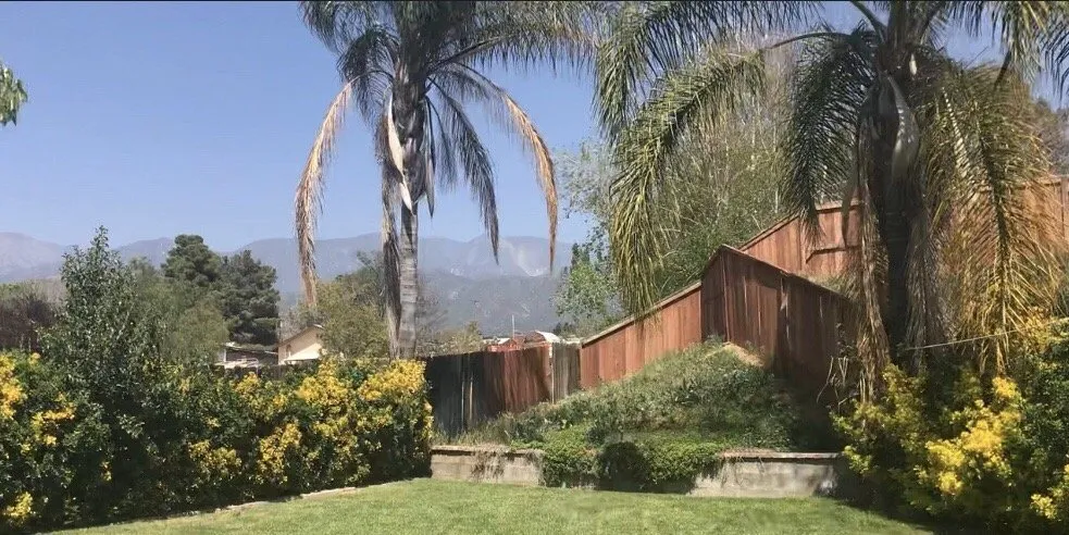 Trusted lawn care service experts serving Colton, CA - A P L Professional Landscapes