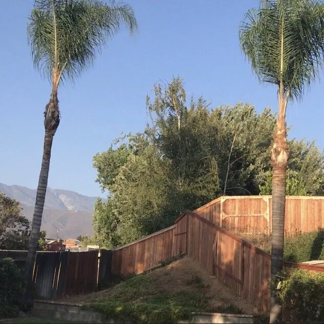 Professional garden landscaping for homes across Colton, CA - A P L Professional Landscapes