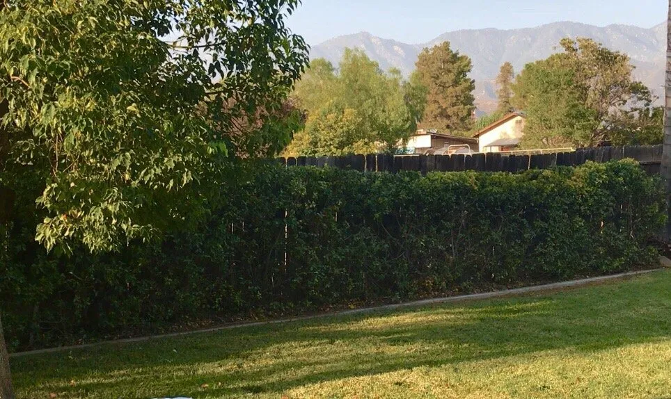 Professional residential landscaping with custom design across Colton, CA - A P L Professional Landscapes