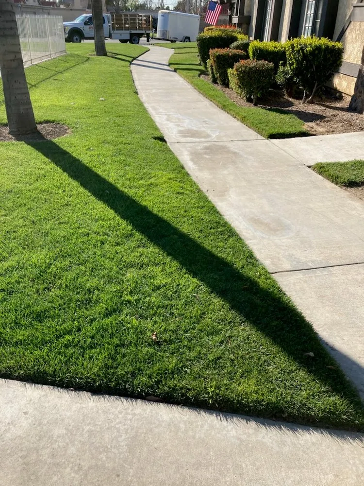 Reliable outdoor landscaping in Colton, CA by A P L Professional Landscapes