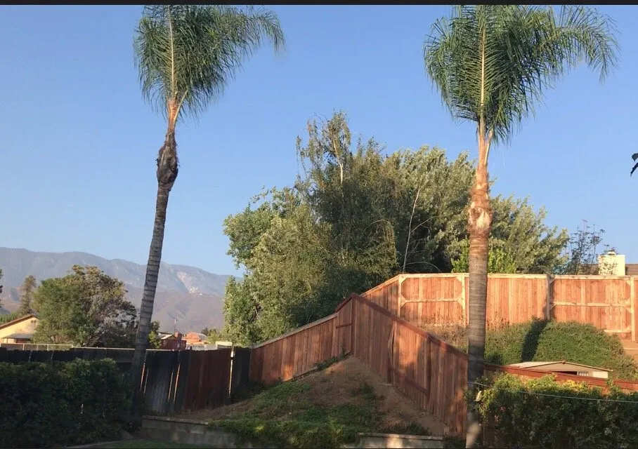 Trusted residential landscaping in Colton, CA - A P L Professional Landscapes