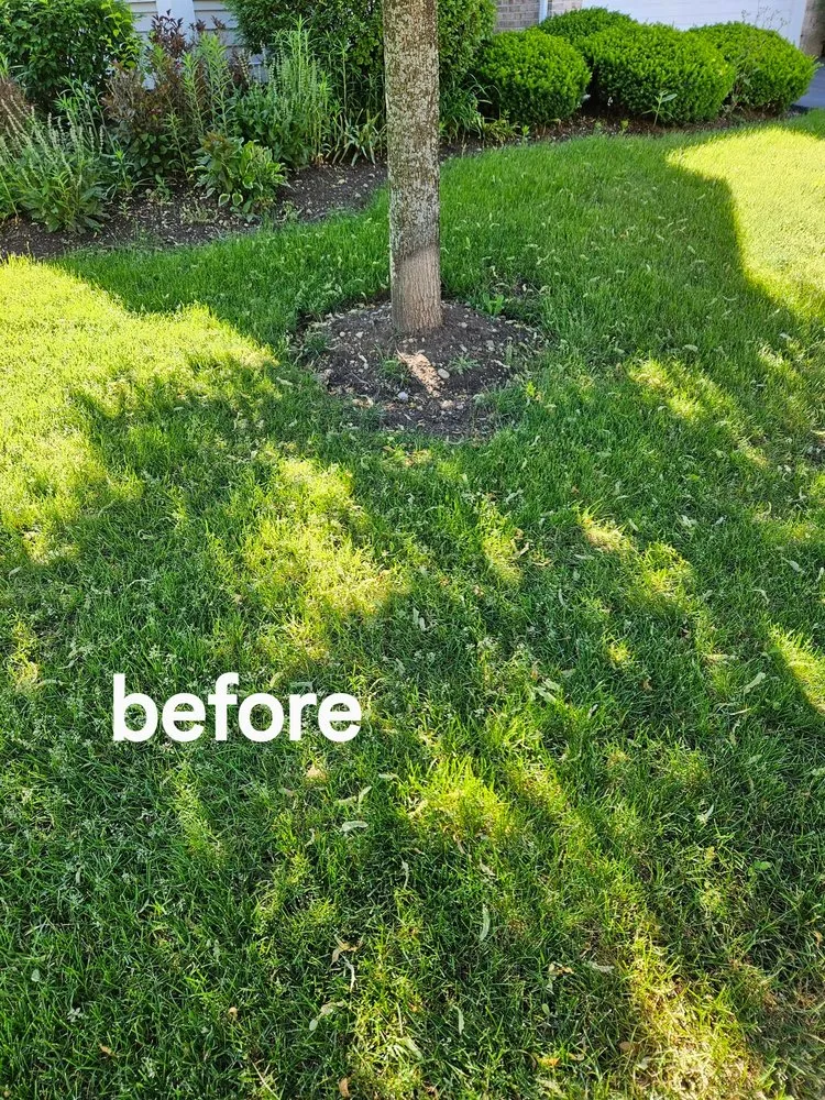 Custom outdoor landscaping in McHenry, IL - A P Landscaping & Design