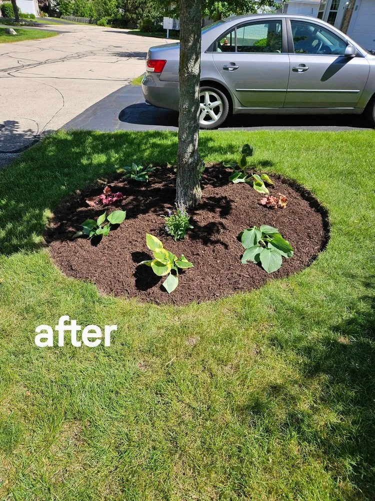 Trusted lawn mowing service experts serving McHenry, IL - A P Landscaping & Design