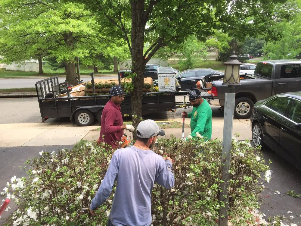 Professional landscape design in Ashburn, VA by A P Landscaping