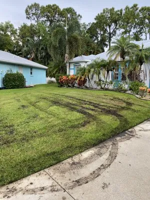 A Pacheco Lawn Maintenance and Landscaping Logo