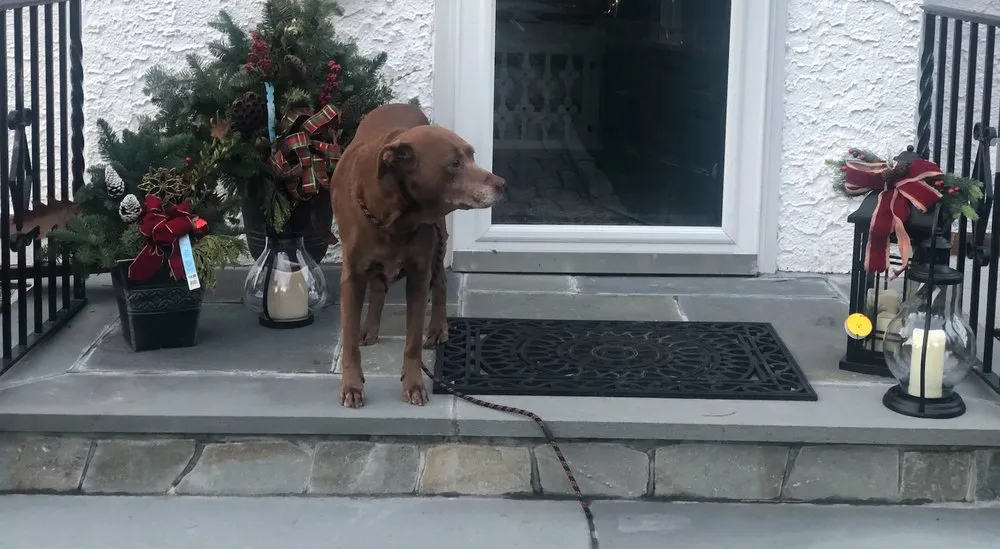 Local outdoor landscaping experts serving Mount Vernon, NY - A Palmieri Landscaping Co Inc