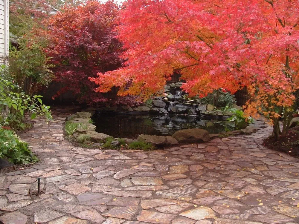 Local landscape design in Portland, OR - A Peace of Mind Landscape