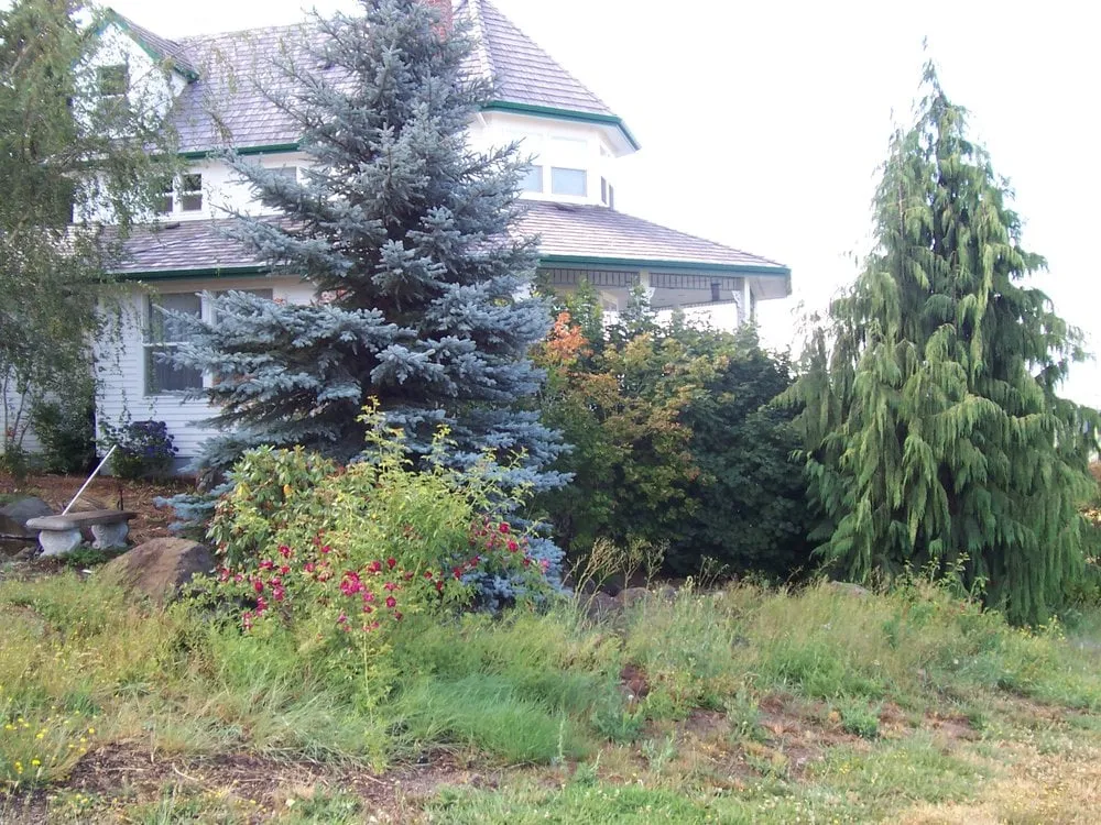 Top-rated lawn mowing service in Portland, OR - A Peace of Mind Landscape