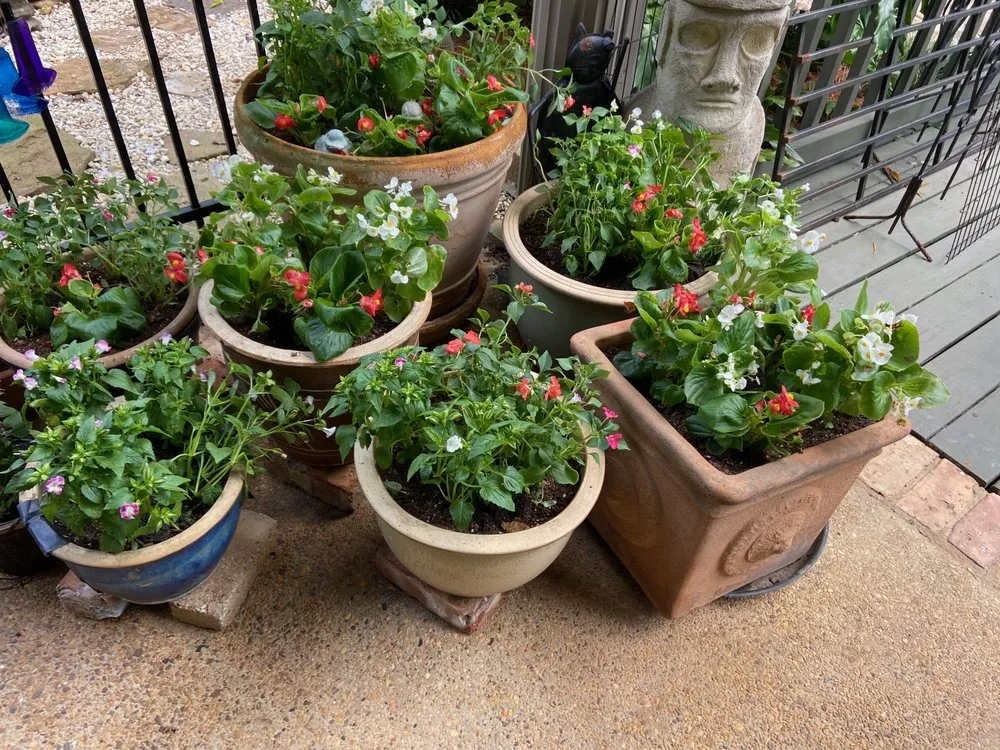 Custom yard cleanup service in Covington, LA - A Perfect Landscape & Construction