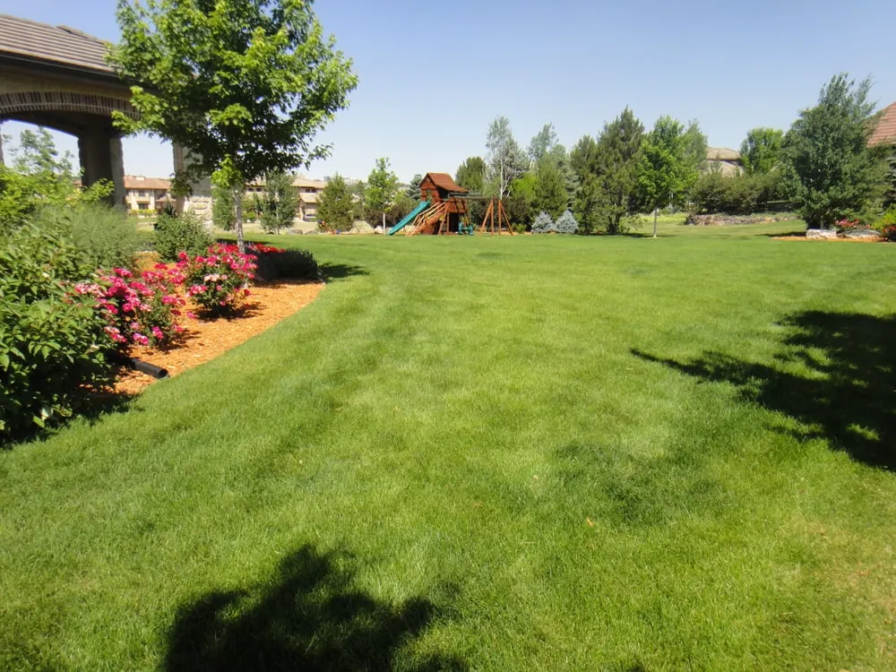 Affordable residential landscaping in Centennial, CO by A Perfect Landscape
