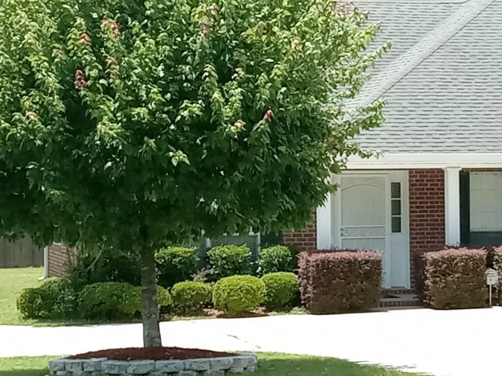 Expert yard maintenance experts serving Eight Mile, AL - A Perfect Landscape