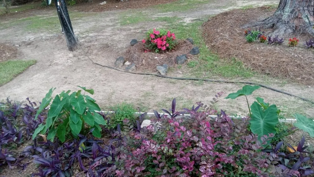 Custom lawn care service experts serving Eight Mile, AL - A Perfect Landscape