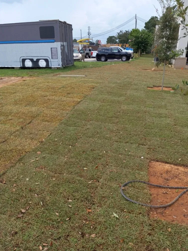 Affordable lawn mowing service in Eight Mile, AL by A Perfect Landscape