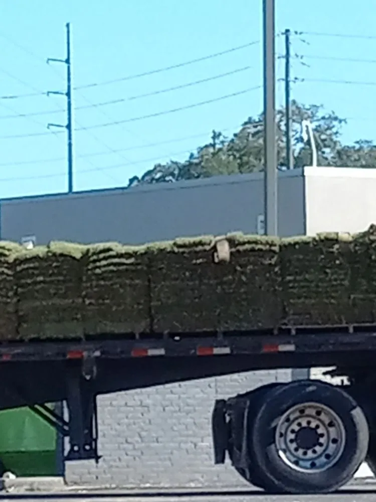 Expert yard maintenance experts serving Eight Mile, AL - A Perfect Landscape