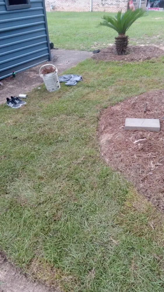 Affordable lawn mowing service in Eight Mile, AL by A Perfect Landscape