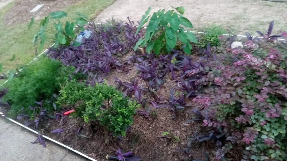 Custom garden landscaping experts serving Eight Mile, AL - A Perfect Landscape