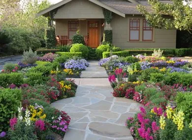 Trusted yard cleanup service in Van Nuys, CA by A Perfect View Landscaping
