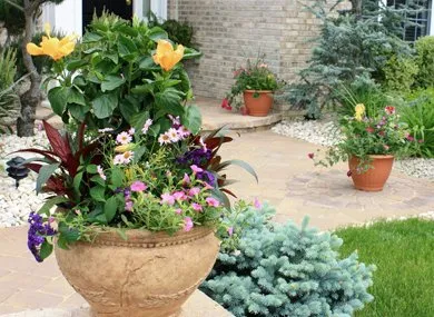 Professional landscape design in Van Nuys, CA by A Perfect View Landscaping