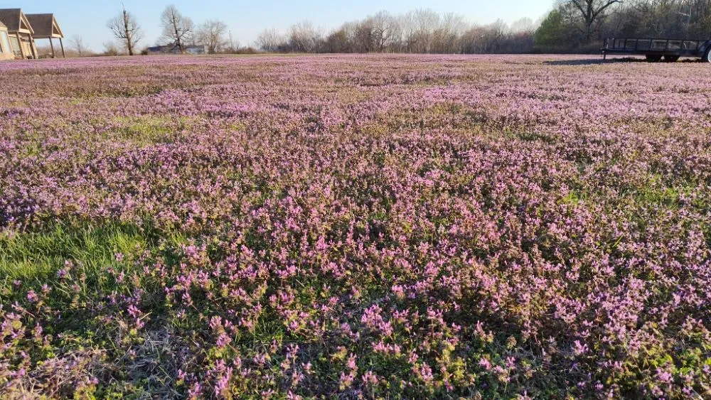 Professional lawn mowing service in Bella Vista, AR - A Personal Touch Landscape and Lawn Care