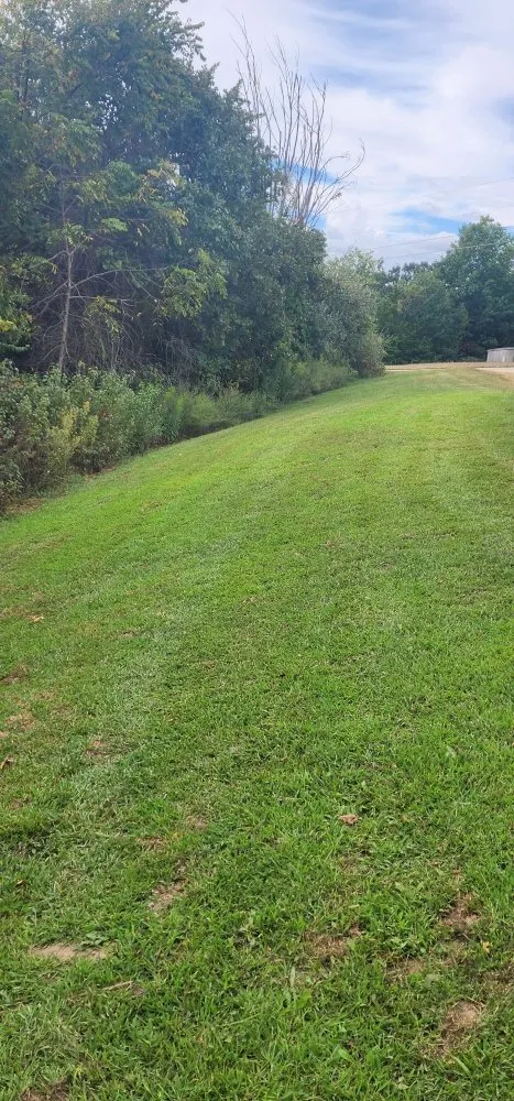 Top-rated yard maintenance for year-round maintenance in Dixon, MO by A Piece Of Paradise