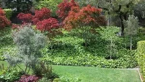 Reliable landscape design for residential properties across Burlingame, CA - A Plant Scheme