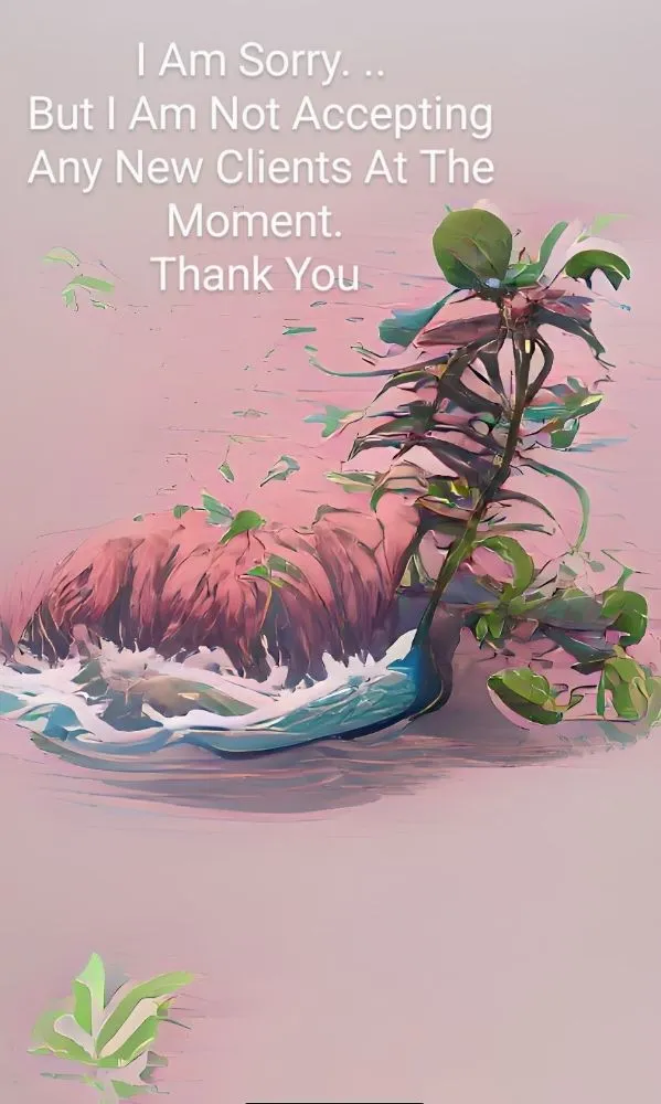 Affordable lawn mowing service in Cayucos, CA by A Plant Whisper