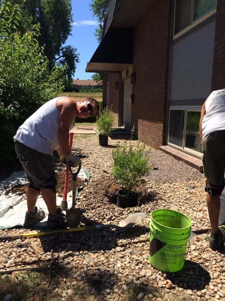 Reliable landscape design for outdoor upgrades in Littleton, CO by A+ Plus Aeration