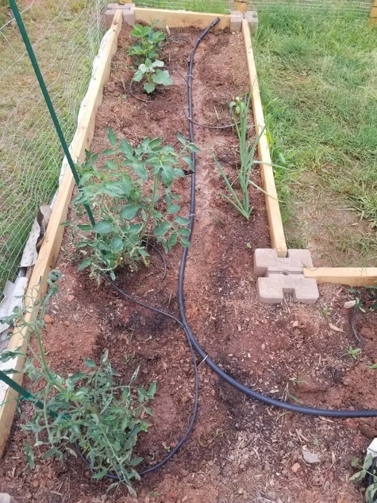 Local residential landscaping in Spartanburg, SC - A plus contractor services