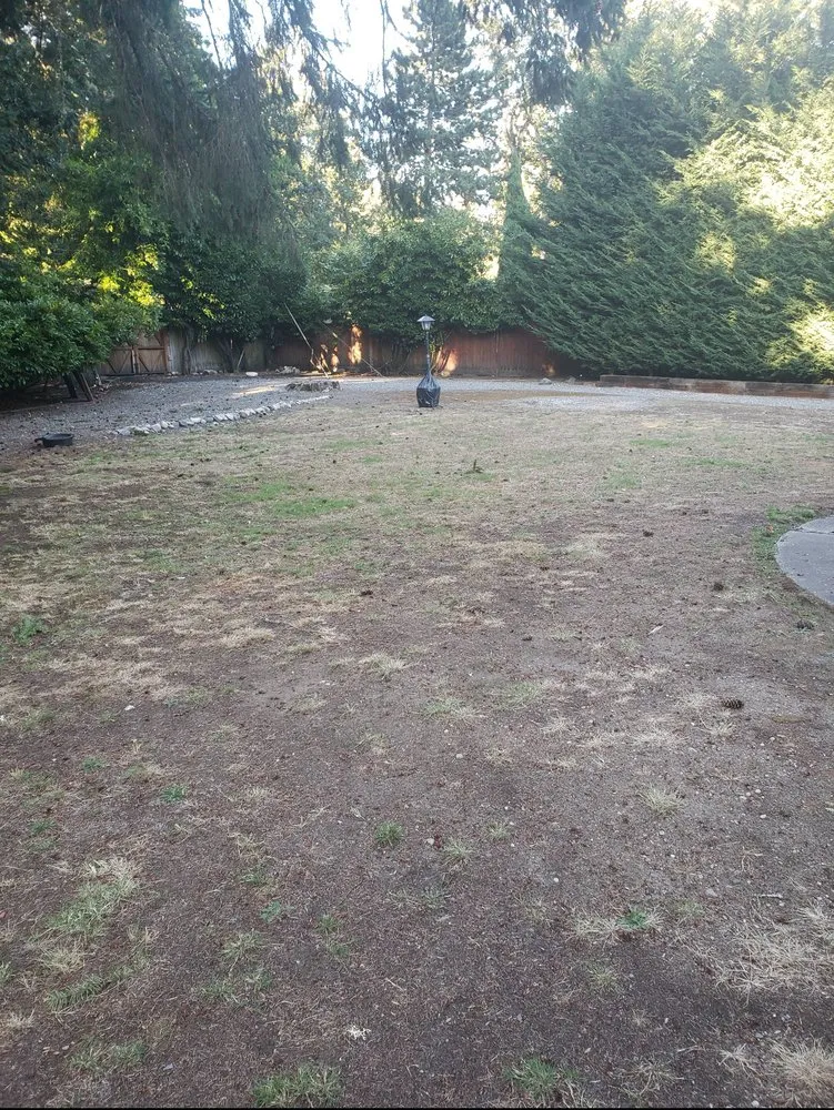 Affordable landscape design experts serving Lake Stevens, WA - A Plus Dirt Works Excavation