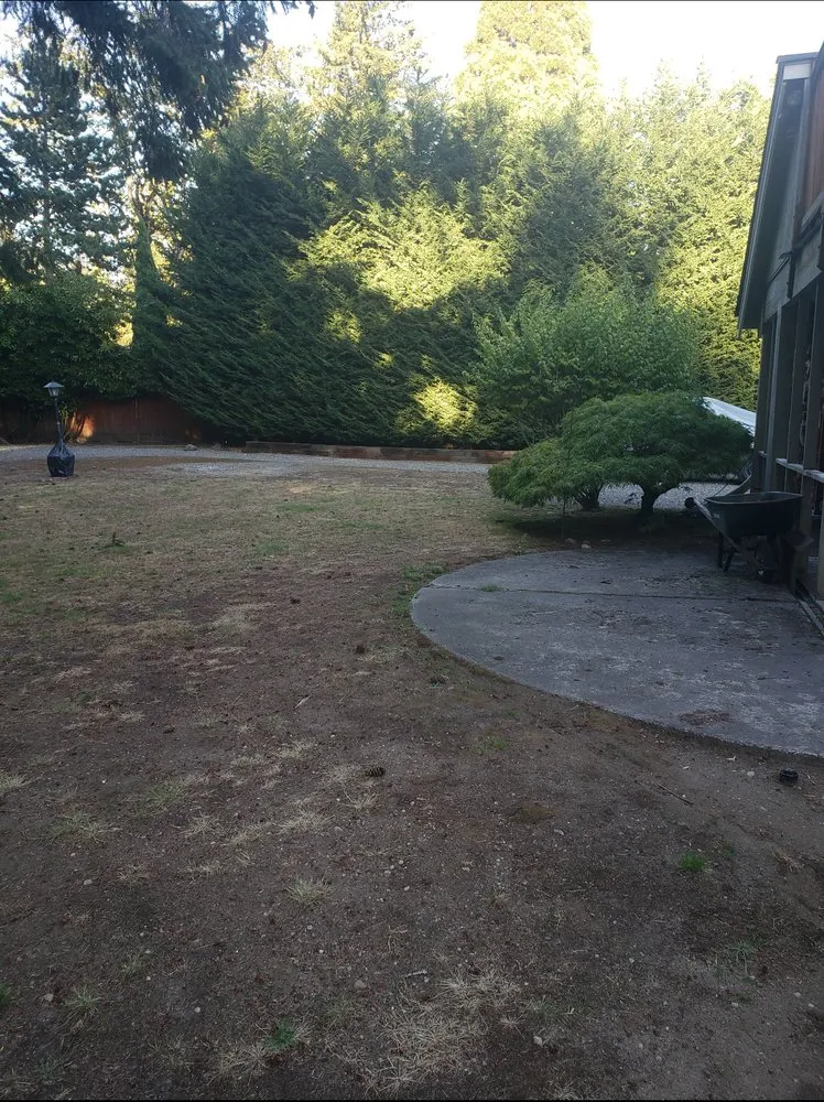 Custom yard maintenance in Lake Stevens, WA by A Plus Dirt Works Excavation