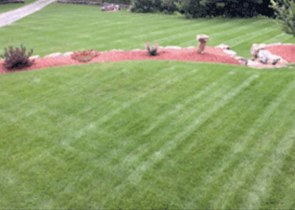 Reliable garden landscaping for homes in Belmont, NH by A Plus Fertilizing