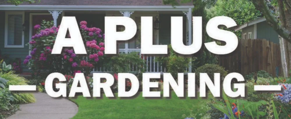 Custom landscape design for homes in Woodland, CA by A Plus Gardening