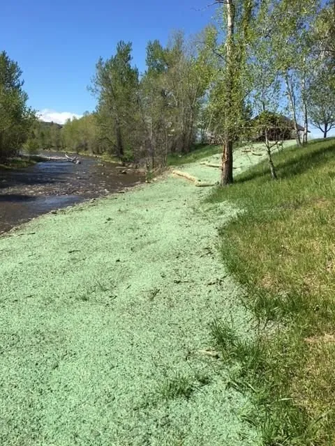 Professional outdoor landscaping in Columbus, MT by A-Plus Hydro Seeding