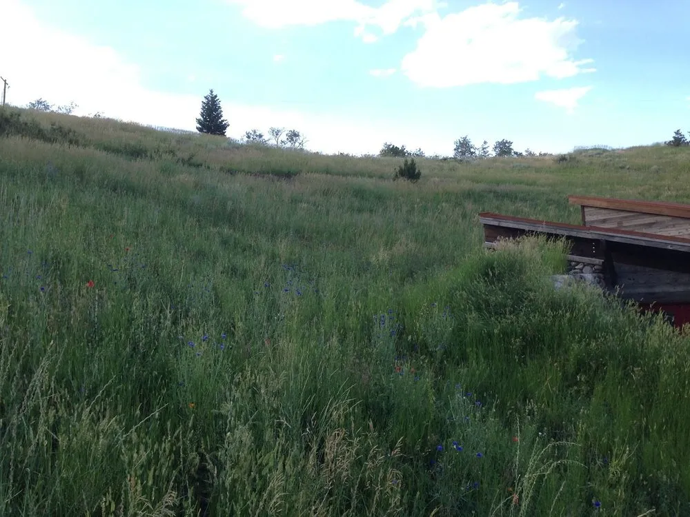 Trusted yard cleanup service for residential properties in Columbus, MT by A-Plus Hydro Seeding